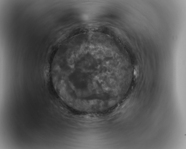 X0000094220867200711091254