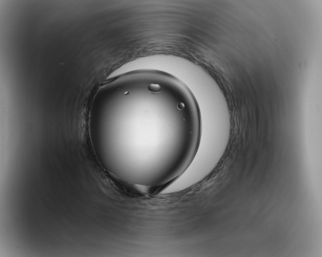 X0000094220868200711091254