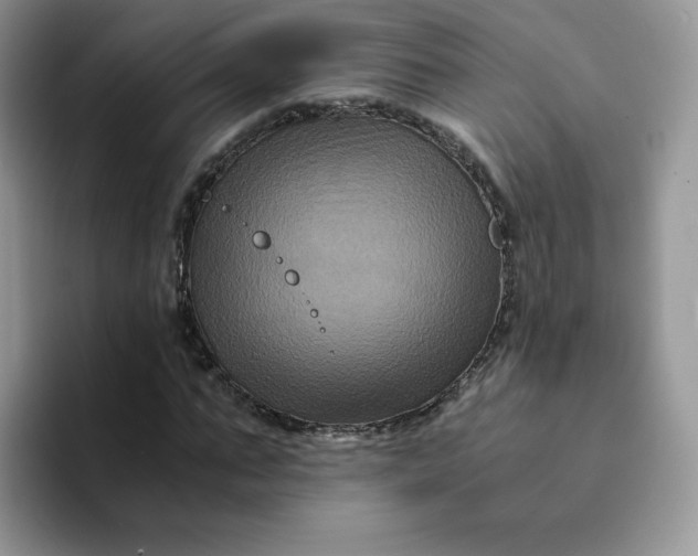 X0000094220871200711091254