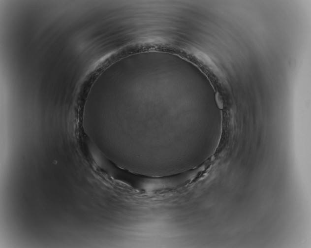 X0000094220872200711091254