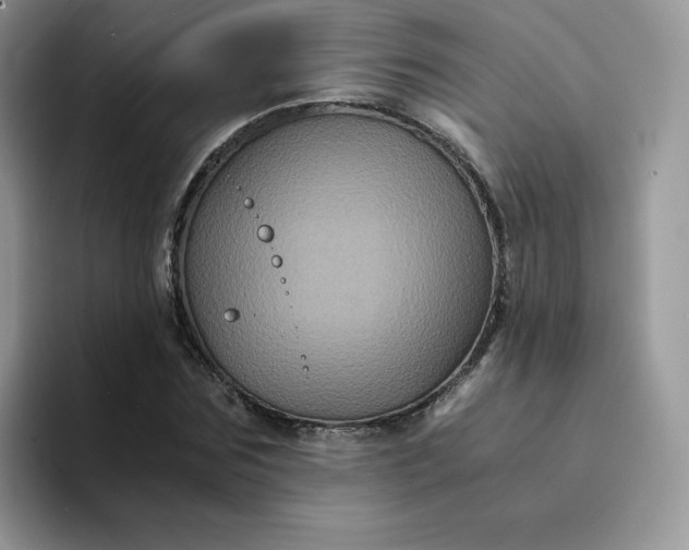 X0000094220875200711091254