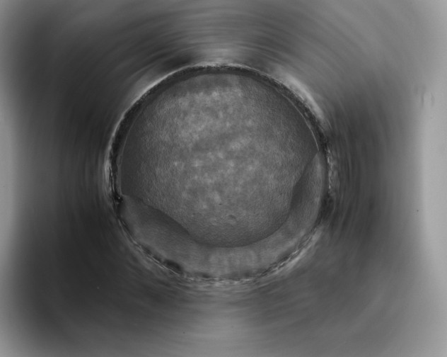 X0000094220876200711091254