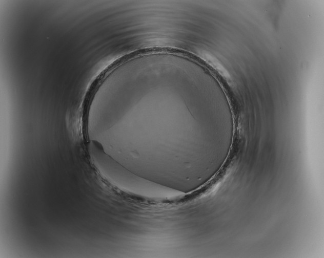 X0000094220877200711091254