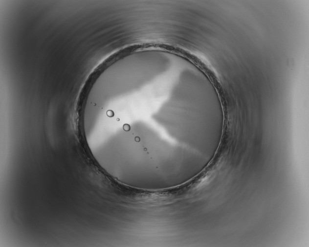 X0000094220879200711091254