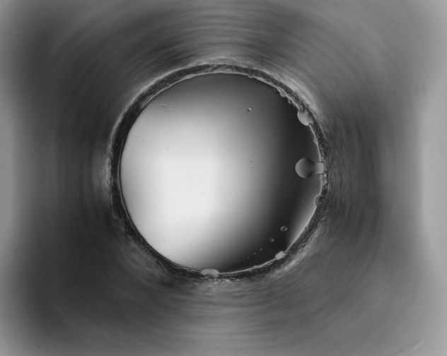 X0000094220880200711091254