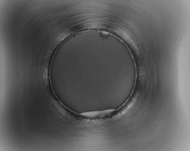 X0000094220881200711091254