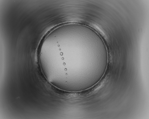 X0000094220883200711091254