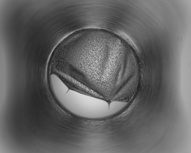 X0000094220884200711091254