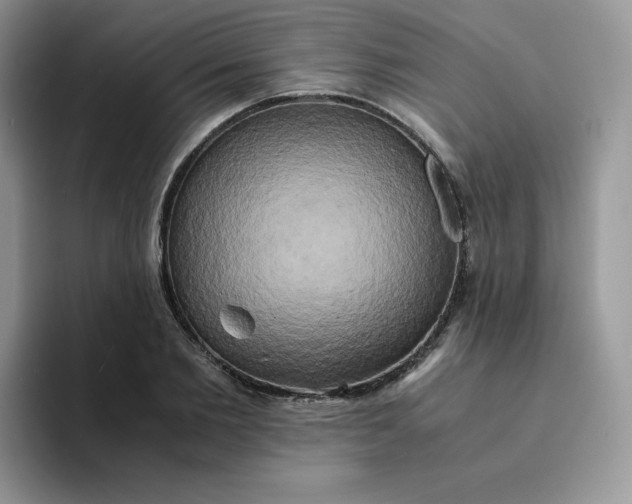 X0000094220885200711091254