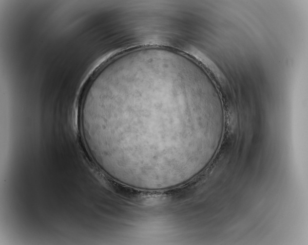 X0000094220886200711091254