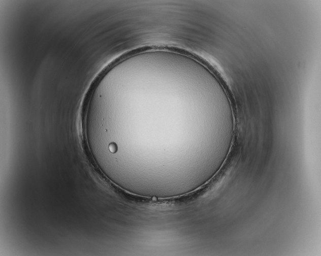 X0000094220887200711091254