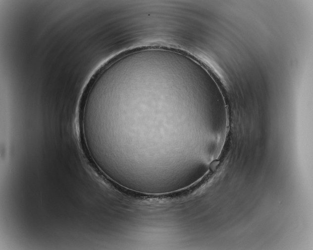 X0000094220888200711091254