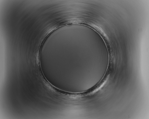 X0000094220889200711091254