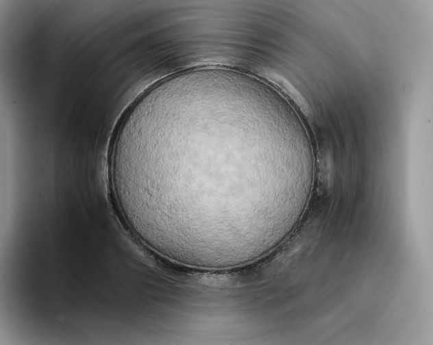 X0000094220890200711091254