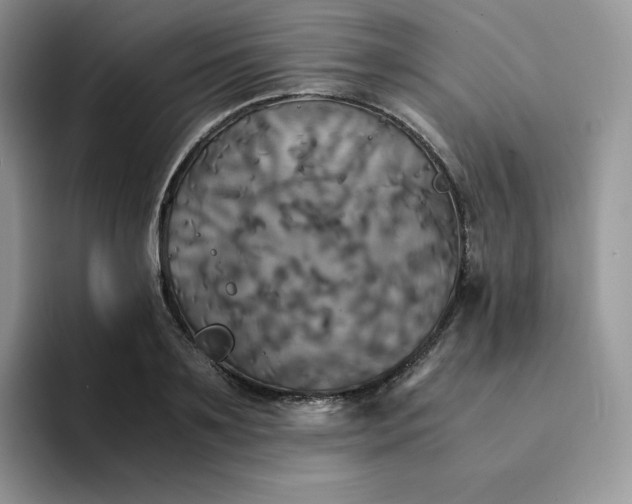 X0000094220891200711091254