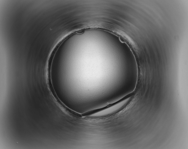 X0000094220894200711091254