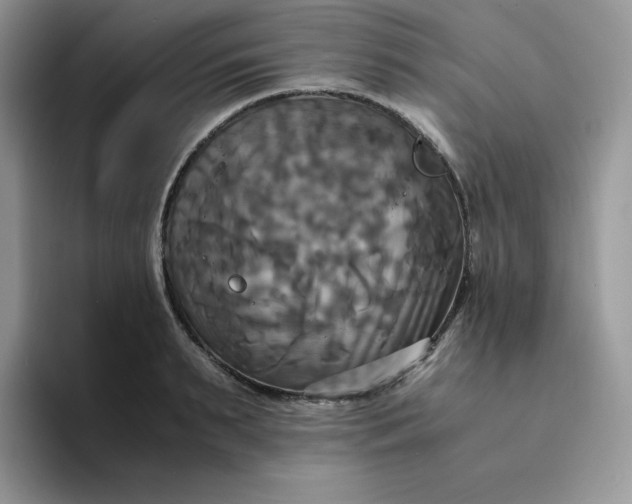 X0000094220895200711091254