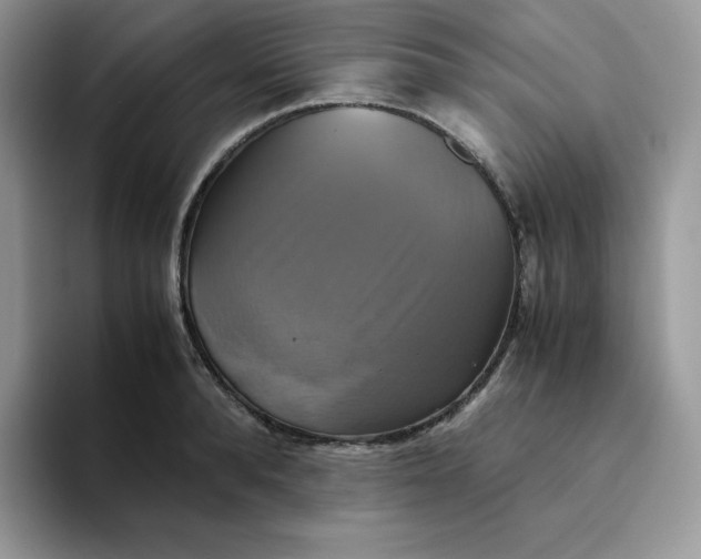 X0000094220896200711091254