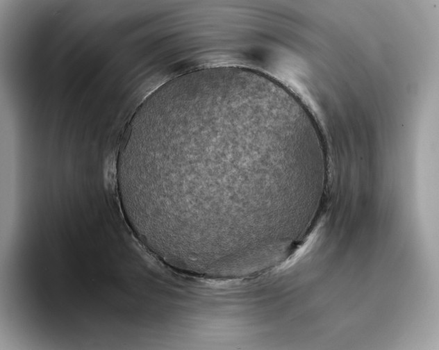 X0000094220897200711091254