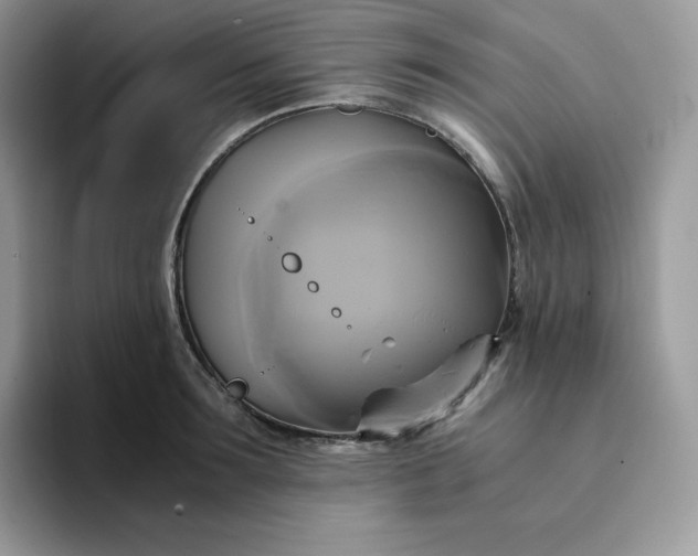 X0000094220899200711091254