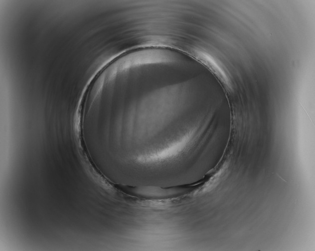 X0000094220900200711091254