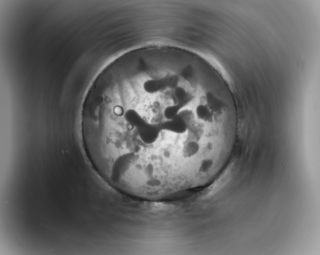 X0000094220903200711091254