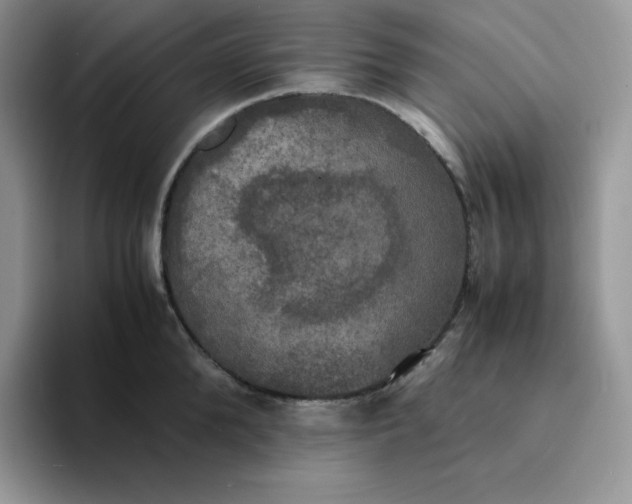 X0000094220904200711091254