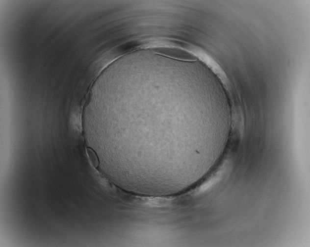 X0000094220905200711091254