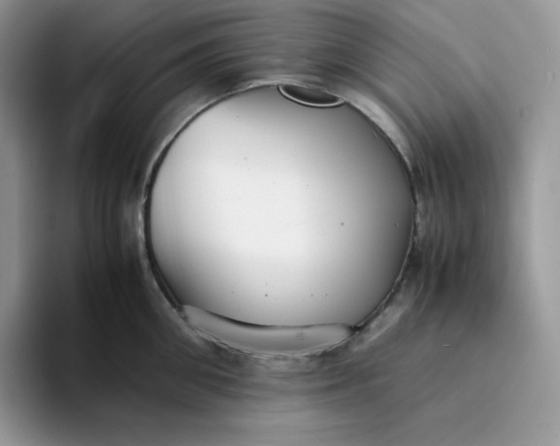 X0000094220906200711091254