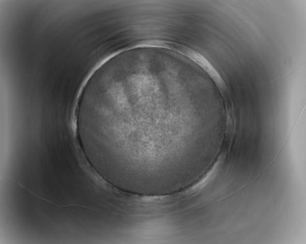 X0000094220908200711091254