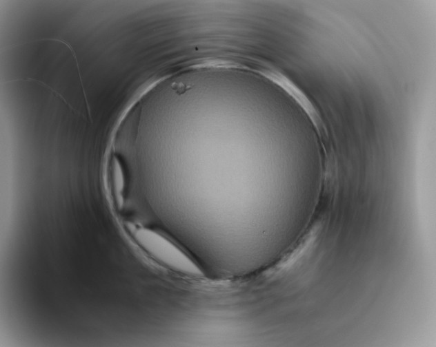 X0000094220909200711091254