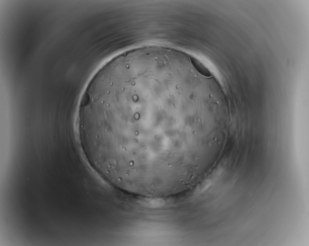 X0000094220911200711091254