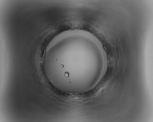 X0000094220913200711091253