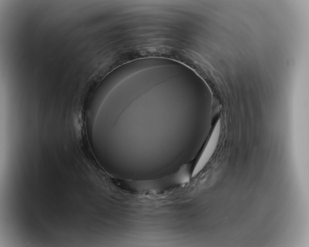 X0000094220915200711091253