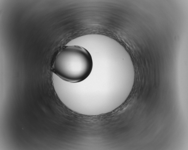 X0000094220916200711091253