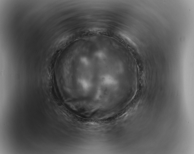 X0000094220917200711091253