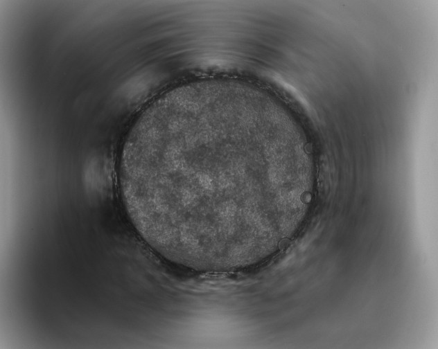 X0000094220918200711091253