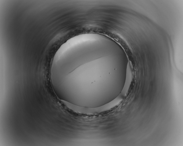 X0000094220919200711091253