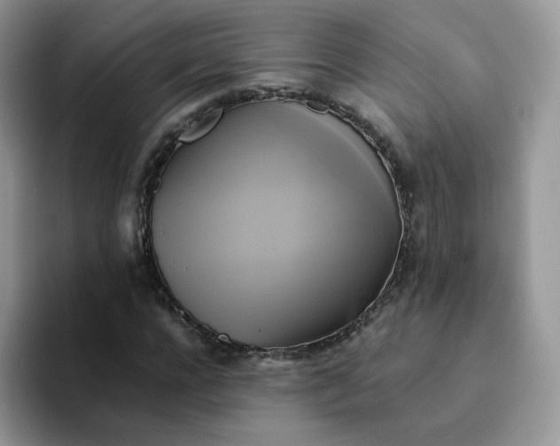 X0000094220920200711091253