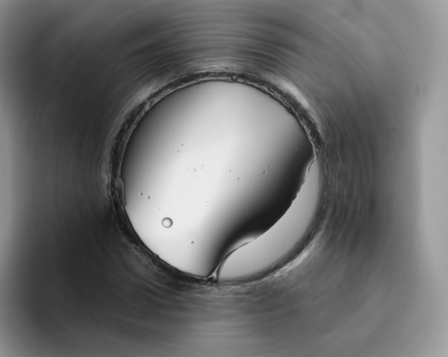 X0000094220922200711091253