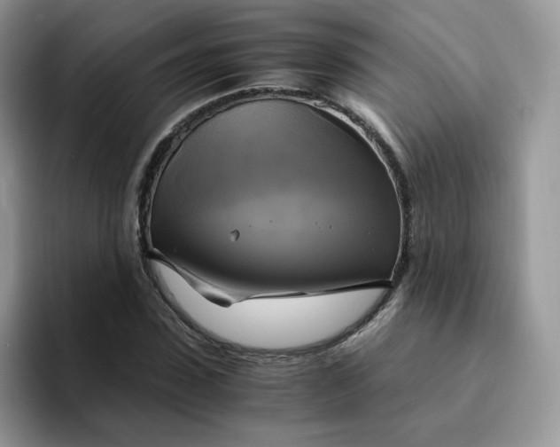 X0000094220923200711091253