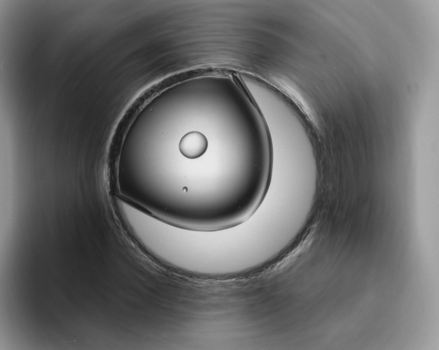 X0000094220924200711091253