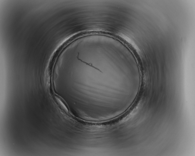 X0000094220925200711091253