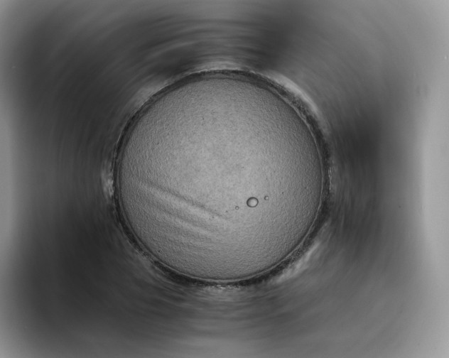 X0000094220929200711091253