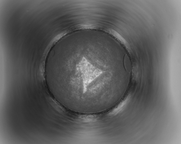 X0000094220930200711091253