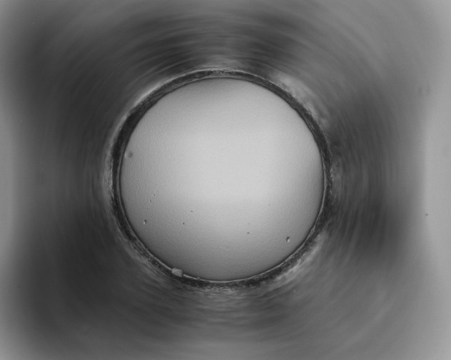 X0000094220931200711091253