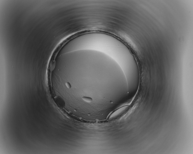 X0000094220932200711091253