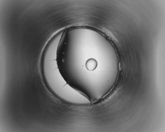 X0000094220934200711091253