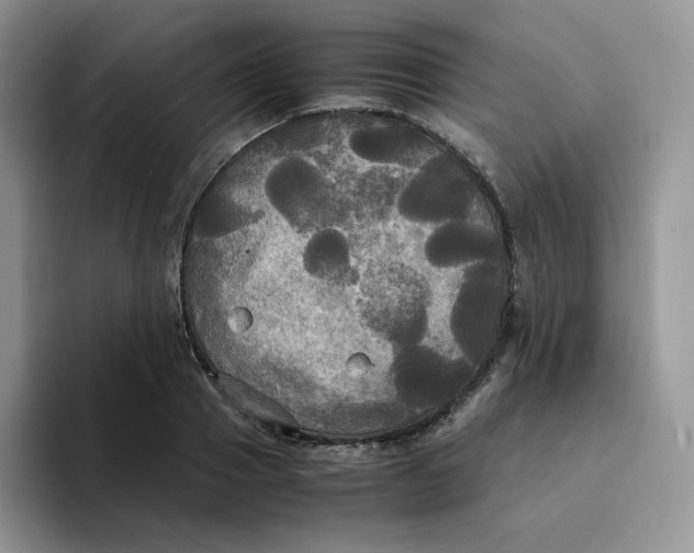 X0000094220937200711091253