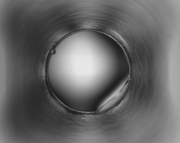 X0000094220938200711091253